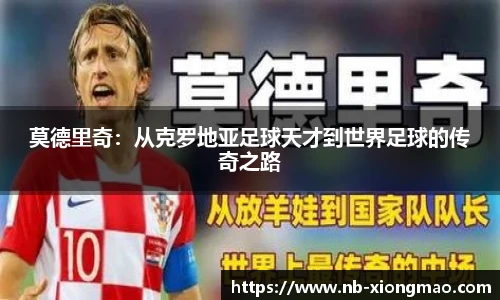 熊猫体育官方入口