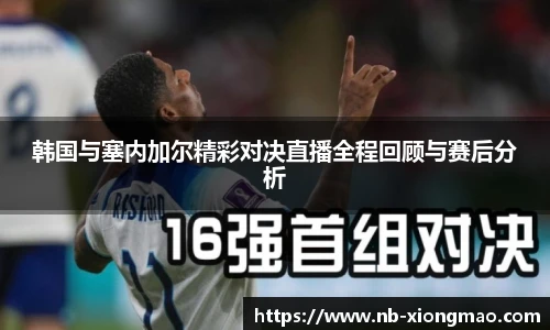 熊猫体育登录入口